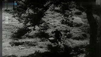 在线观看地雷战,烽火岁月里的英雄传奇 第3张 在线观看地雷战,烽火岁月里的英雄传奇 第3张