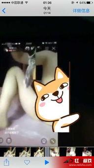 主播琪琪在线观看视频,热门视频背后的精彩瞬间